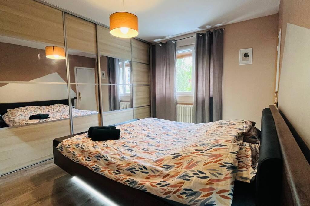 Appartement Proche Centre Ville Avec Parking Gratuit Annecy Bagian luar foto